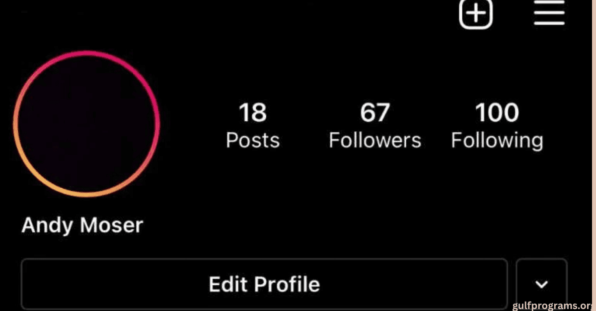 الانستا الاسود